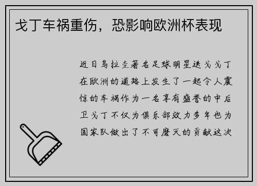 戈丁车祸重伤，恐影响欧洲杯表现